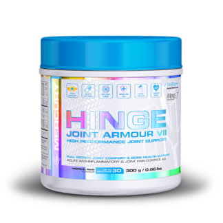 TNT - Hinge (Joint Armour)